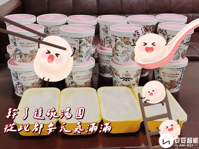 安安智能元宵節(jié)的元宵和餃子